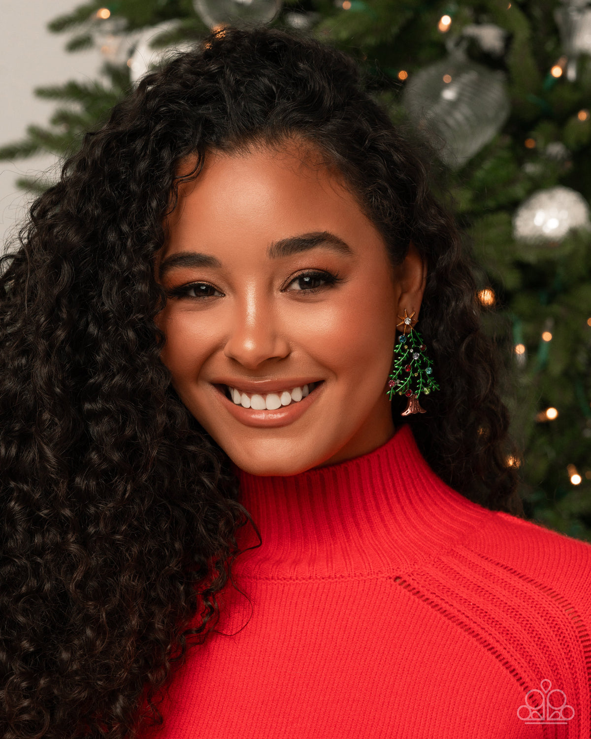 Christmas Credentials Multi Posts