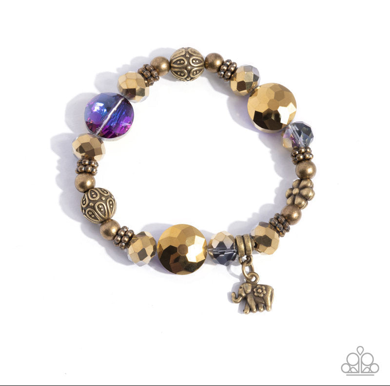Zoology Degree Purple Bracelet