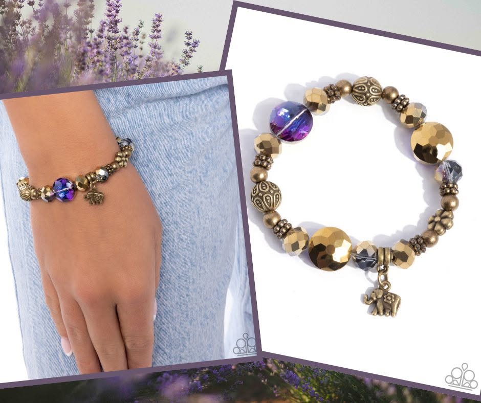 Zoology Degree Purple Bracelet