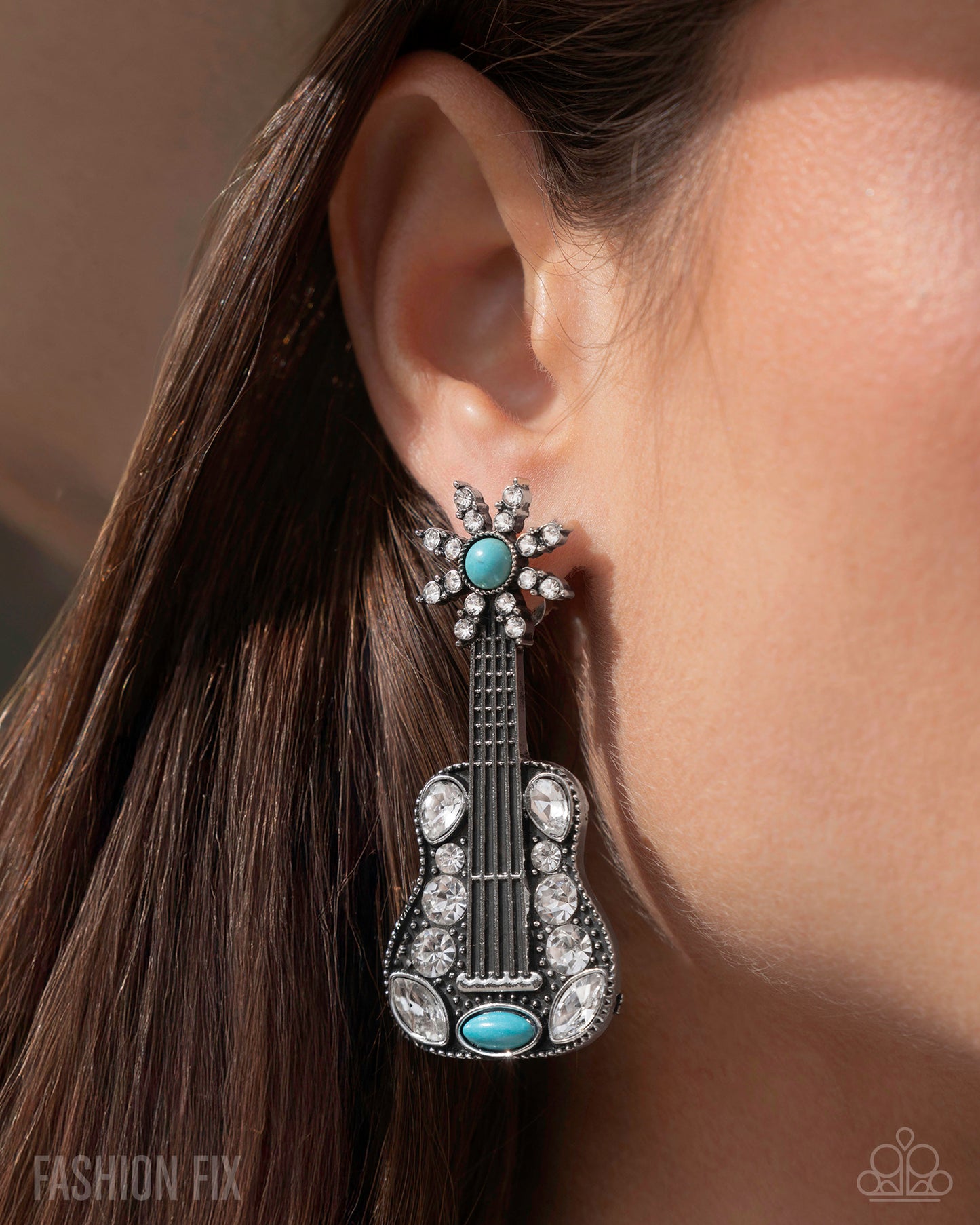 Country Comeback Blue Post Earrings